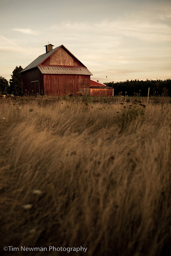 Late summer barn