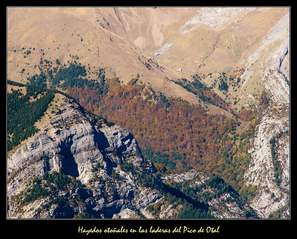 Hayedos otoñales en las laderas del Pico de Otal