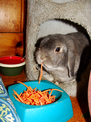 Pippin with carrots