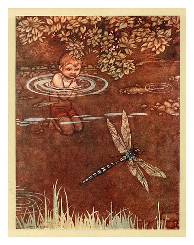 020-The water-babies a fairy tale for a land-baby 1915-ilustrado por William Heath Robinson