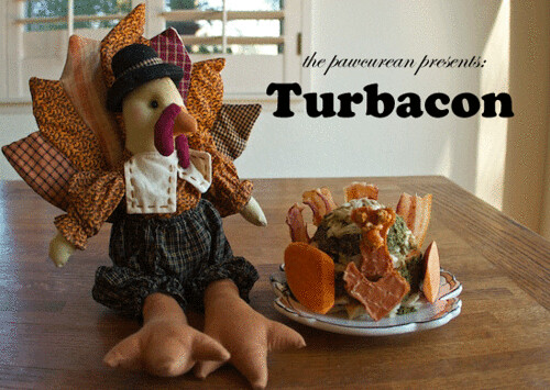 Turbacon 3