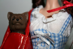 dorothy gale 11