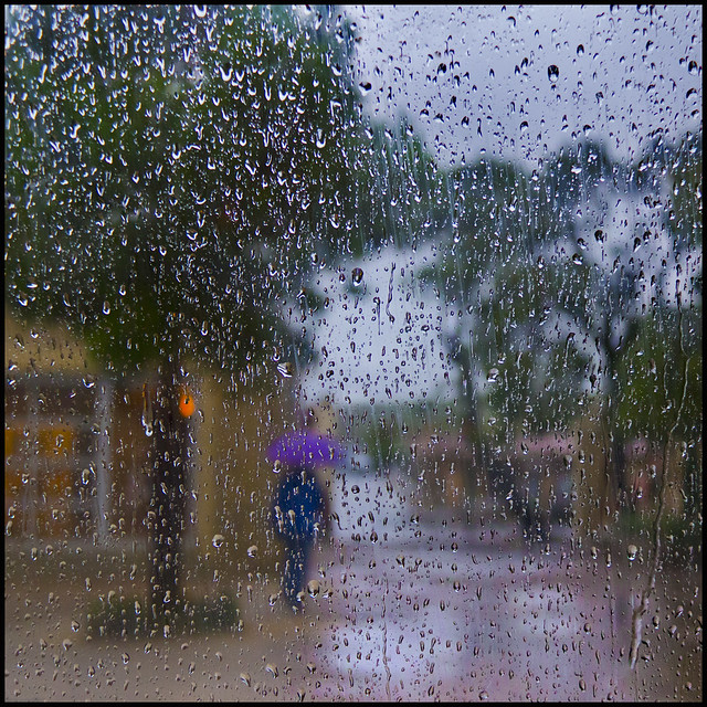 lluvia - rain photo