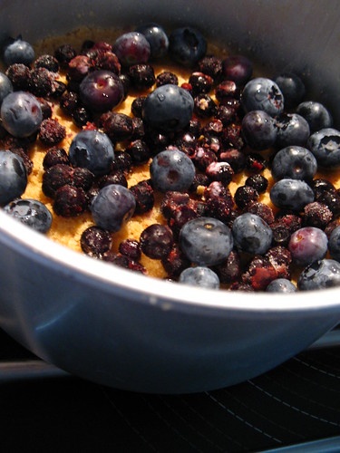 Mix of frozen and fresh blueberries