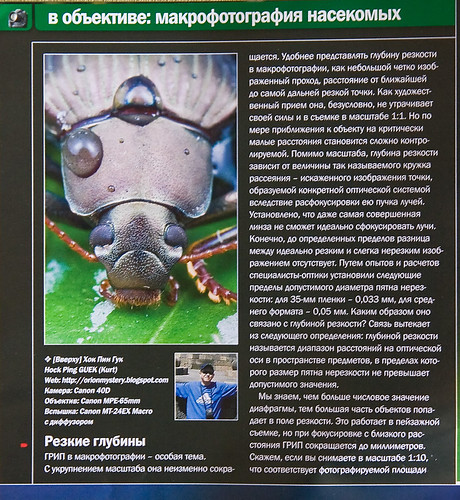 a wet  beetle  Ukrainian Photographer Magazine IMG_5508 copy