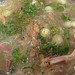 Miến Gà (Chicken & Bean Thread Noodle Soup)