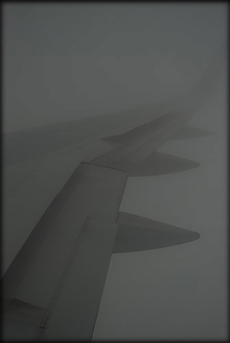 wing-fog