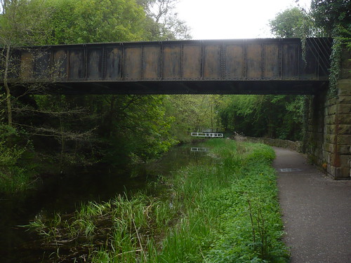 Cromford Canal III ~ 9th May 2010