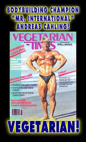 Vegetarian Bodybuilder Andreas Cahling Photo! - Vegan Times Healthy Food Recipes - No Paleo Malnutrition No Crossfit Failure No Meat Cancer Baby Risk
