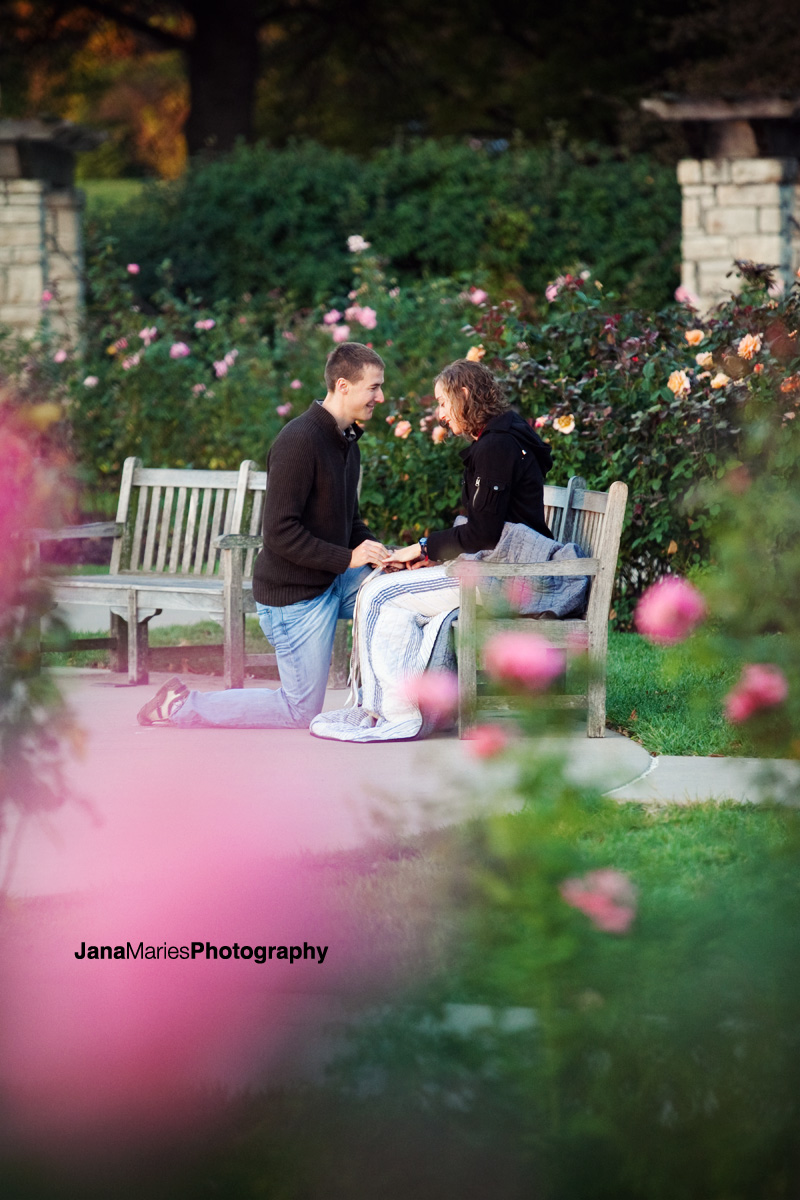 Lose Park Kansas City, Jenny & Austin proposal, Kansas City wedding photography, Jana Marie Photography