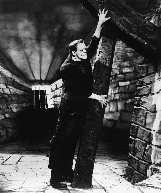 Frankenstein (Universal, 1931) 10