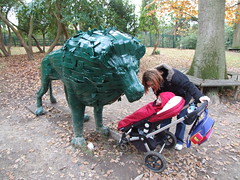 Tilgate Park - Lion