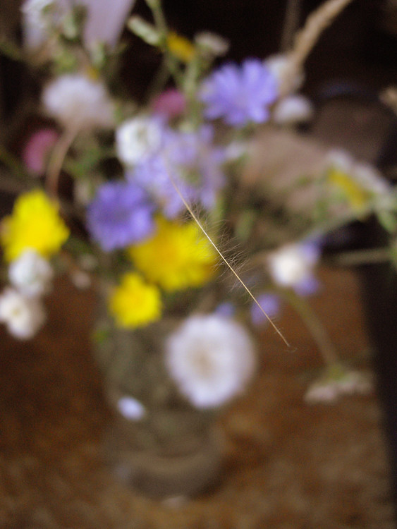 flower3