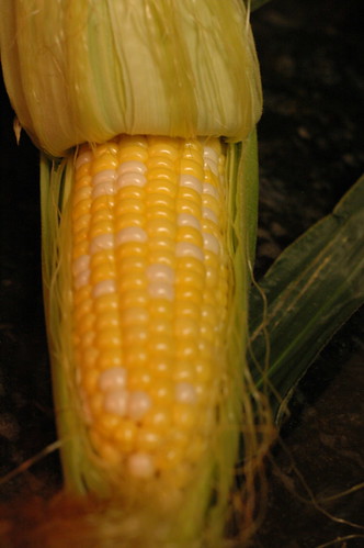 local corn = love