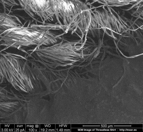 fibres under microscope. cotton fibers of the shirt