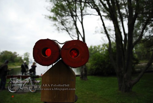 Rose Coloured Binoculars