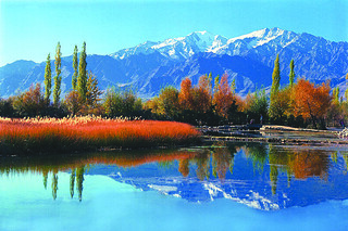 Srinagar