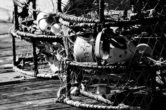 Crab pots lining the docks in Anacortes, WA