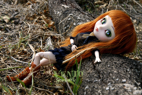 Viento (Pullip Dita) by Libelularia by Greenbottle