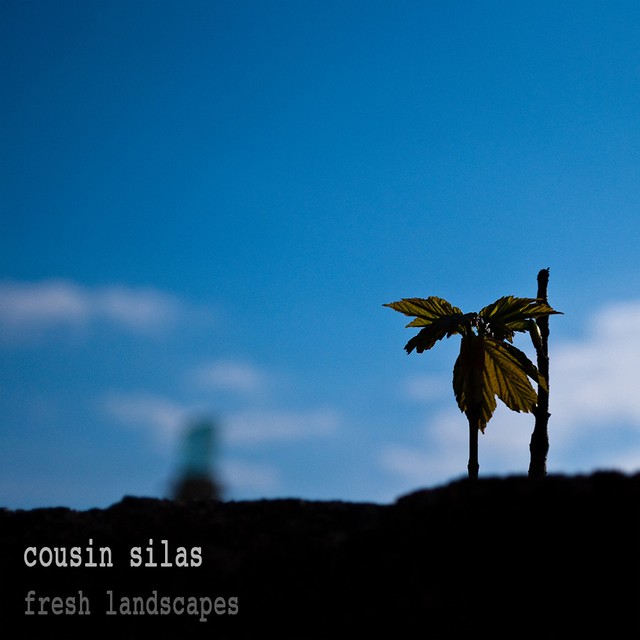 Cousin Silas_ Complex Silence 9_ Fresh Landscapes 02 fresh landscapes