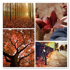 [Things I ♥ Thursday]  The changing leaves of autumn di DreamsOfNyssa
