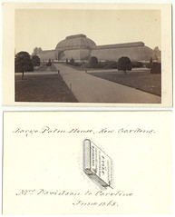 Palm House at Kew, dated June 1865