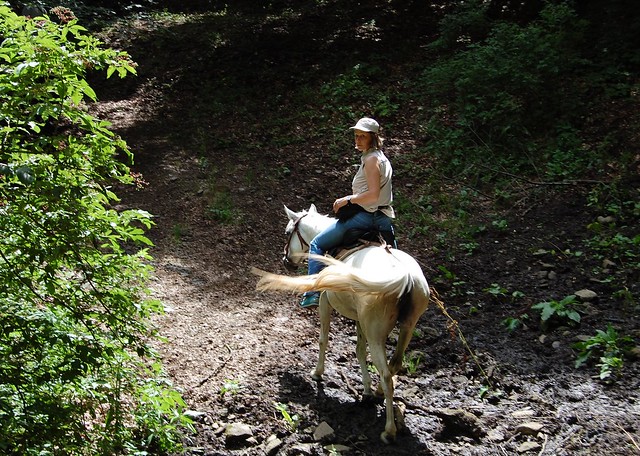 Horse riding in the Algeti Reserve Caucasus Georgia