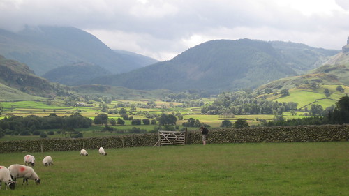 Looking towards High Rigg and the Helvellyn Range