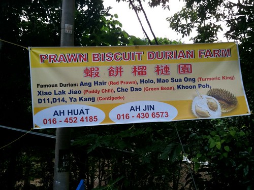 Durian Farm Banner