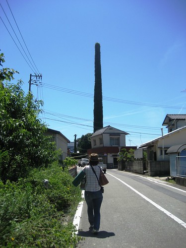 大崎上島 町の風景 写真19