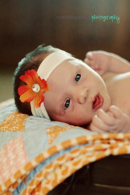 California Utah Newborn Family Photographer