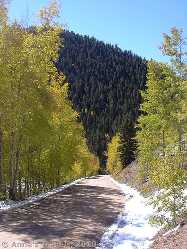 The road to Raspberry Mountain, Pike National Forest, Colorado