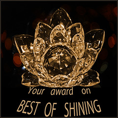Award Best of Shining