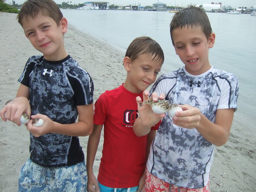 boys and four puffers