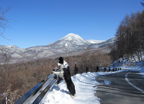 春の雪景色を眺める／後ろは蓼科山　2010年3月30日 by Poran111