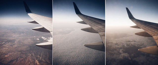 wing_triptych
