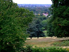 View from Pembroke Lodge, Richmond Park.