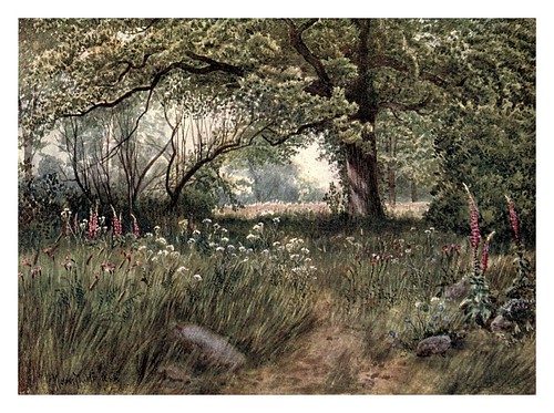 007-Alrededores de la cabaña de la reina-Kew gardens 1908- Martin T. Mower