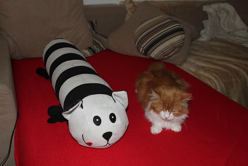 Barnie und die IKEA Stoff-Katze