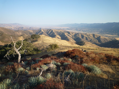 looking out the cuyama valley