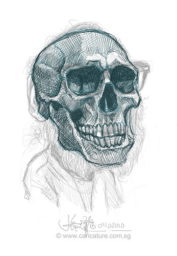 Schoolism - Assignment 6 - Sketch 1 of Bill skull