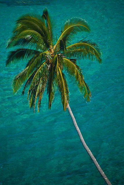 Kauai Resort Beach-2.jpg