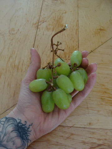 some-grapes