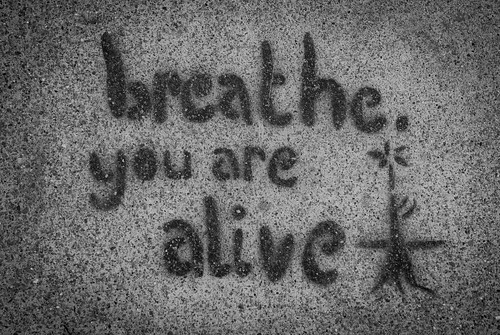 graffiti: "breathe, you are alive"