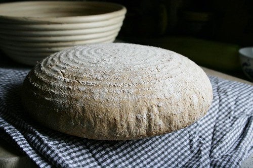 basket raised bread