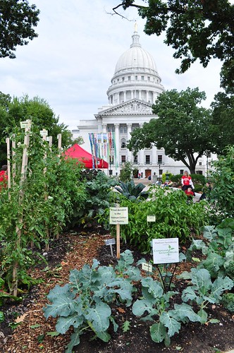 public vegetable garden in Madison