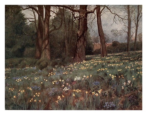 003-El jardin silvestre en primavera-Kew gardens 1908- Martin T. Mower