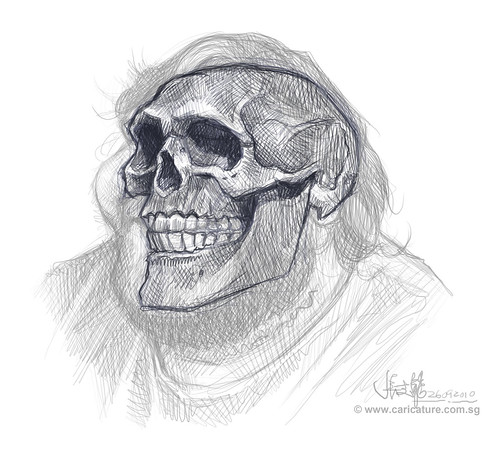 Schoolism Assignment 6 - sketch 2 of Hugo skull