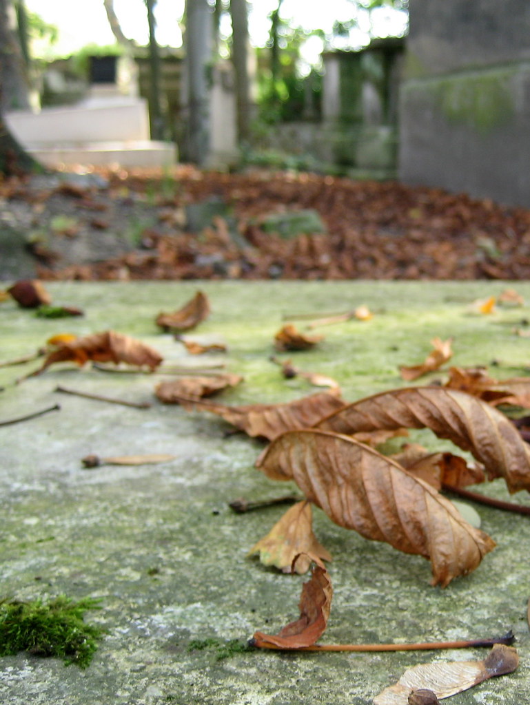 Les feuilles mortes