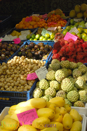 Philippine local fruits